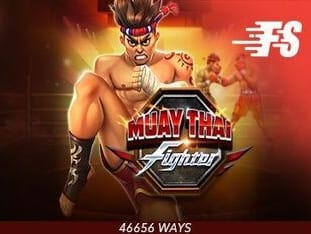 Muay Thai Fighter (1) game thumbnail